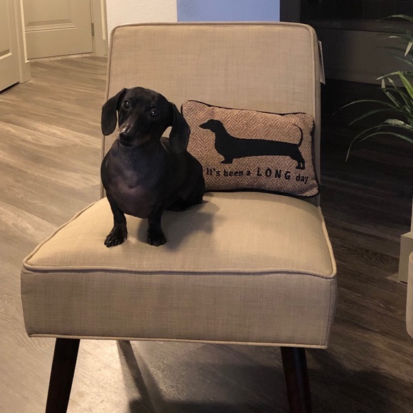 Meet your Posher, Kelly - Picture 2 of 3